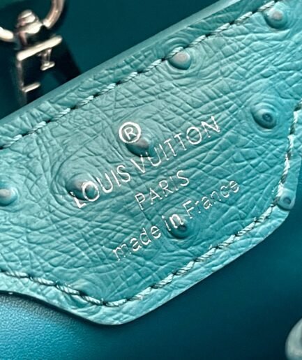 LV Capucines Blue Dot