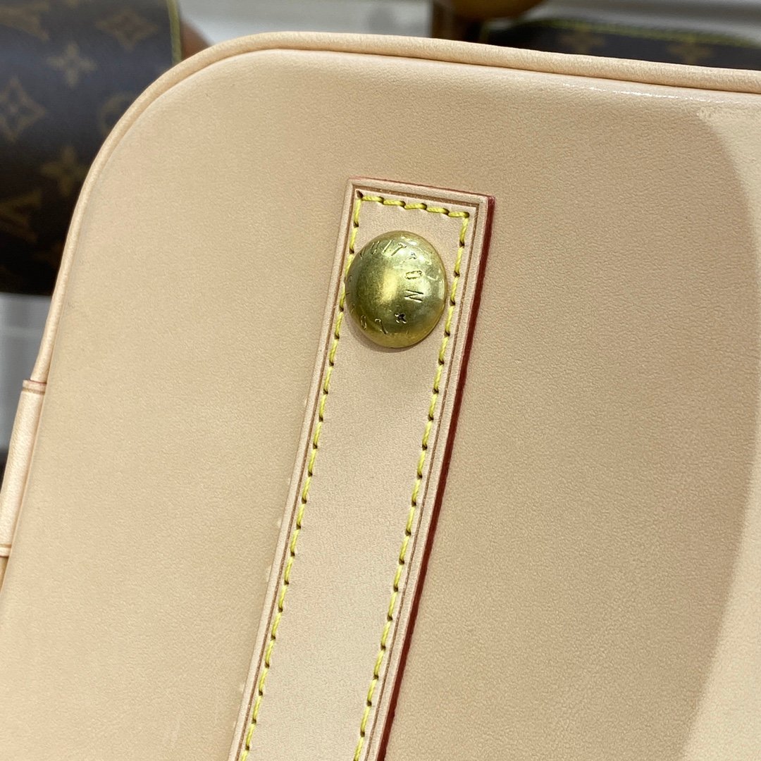 LV Alma Classic Big Monogram 8