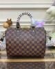 Speedy Damier 001