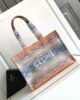 Celine Triomphe Cabas Colorful 1 a1687855698034 2085