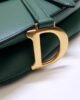 Dior Medium Saddle Bag - Dark Green - GHW 25.5cm 5 i1567393866 602 3