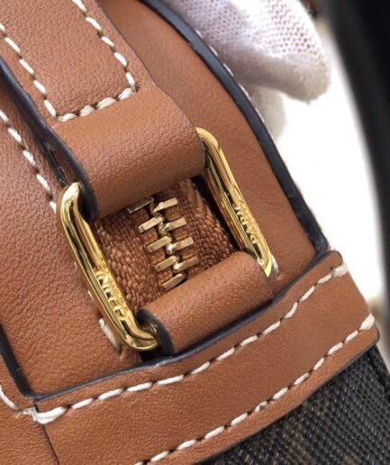 Celine Triomphe Exclusive Dark Brown