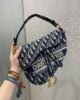 Dior Medium Saddle Bag - Blue Oblique Embroidery - GHW 25.5cm 7 i1602686435 7283 1