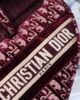 Dior Medium Saddle Bag - Burgundy Oblique Embroidery - GHW 25.5cm 5 i1603901026 6314 7