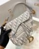 Dior Medium Saddle Bag - Gray Oblique Embroidery - GHW - 25,5cm 5 i1623386852 4323 1