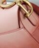 Dior Medium Saddle Bag - Calf Pink Leather - 25.5cm GHW 2 i1624782779 2338 4