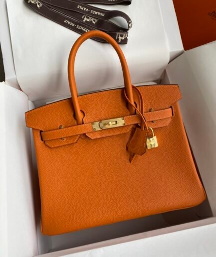 Hermes Birkin 25 Togo - Orange Poppy - GHW