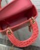 Mini Lady Dior - Light Red - Alligator - 17cm 5 i1651985540 3738 7