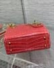 Mini Lady Dior - Light Red - Alligator - 17cm 6 i1651985540 732 6
