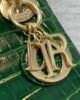 Mini Lady Dior - Green - Alligator - 17cm 9 i1651985697 9838 3