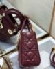 Dior Lady Mini - Burgundy - 17cm 9 i1667462000 886 6