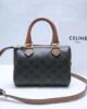 Celine Triomphe Canvas 1 i1677475540 1093 0