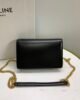 Celine Triomphe Plus Black 2 i1679421821 2795 2