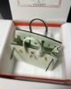 Hermes Birkin 25 Sellier Epsom - Aqua Light Green GHW 9 i1699734369 9049 7