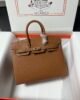 Hermes Birkin 25 Sellier Epsom - Gold GHW 1 i1699734671 2999 0