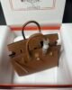 Hermes Birkin 25 Sellier Epsom - Gold GHW 4 i1699734671 4451 7